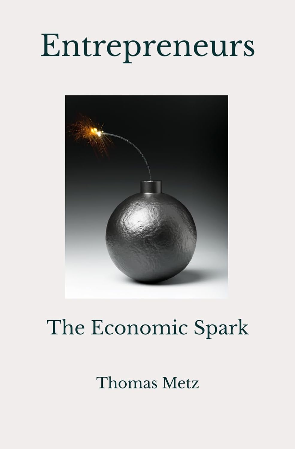 Entr- Spark image